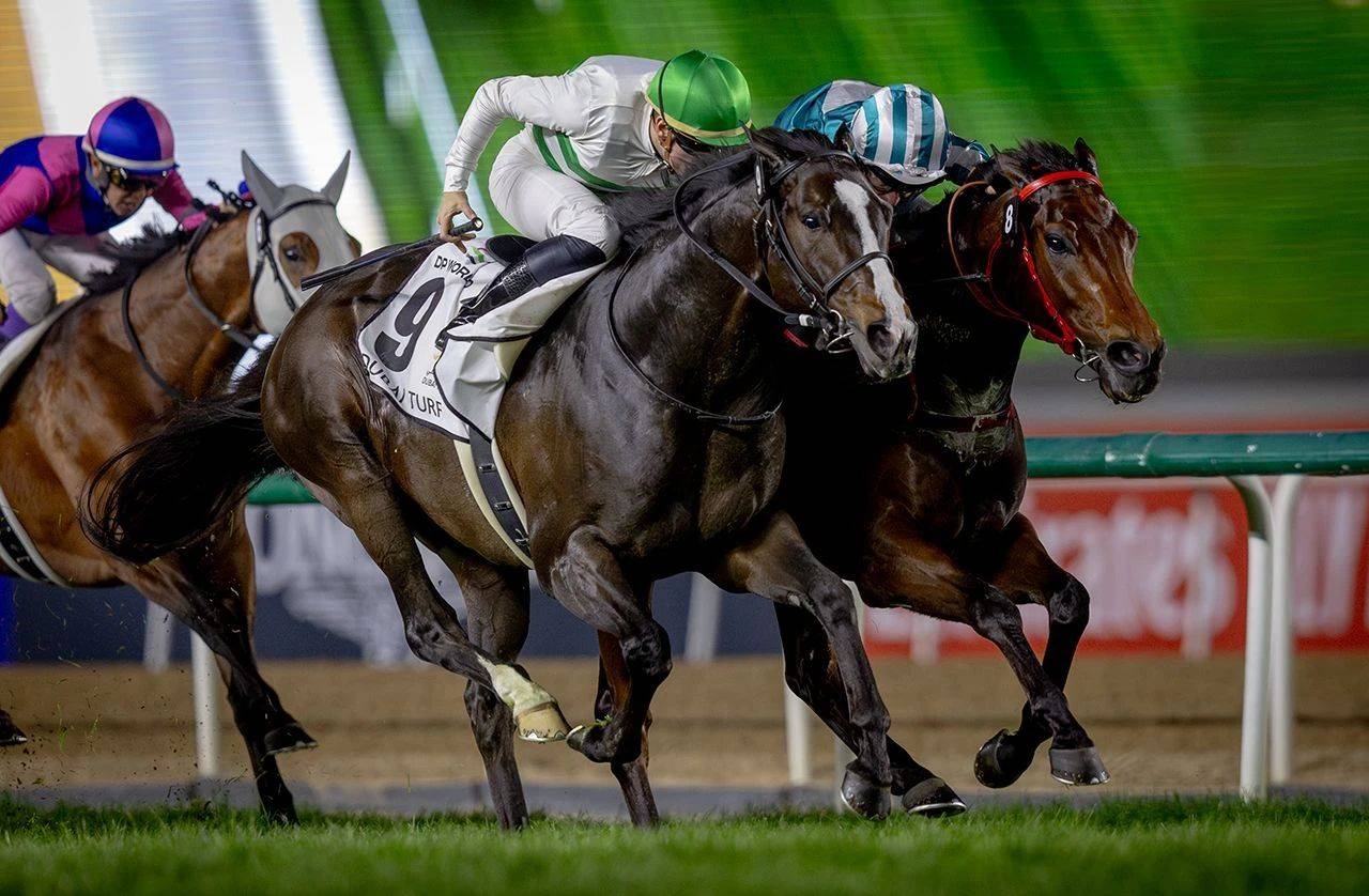 开云体育登录-坚韧精神：马术选手跌倒后坚持比赛的简单介绍