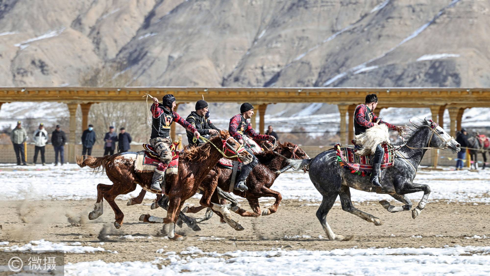 坚韧精神:马术选手跌倒后坚持比赛的简单介绍 坚韧精神:马术选手跌倒后坚持比赛的简单介绍
