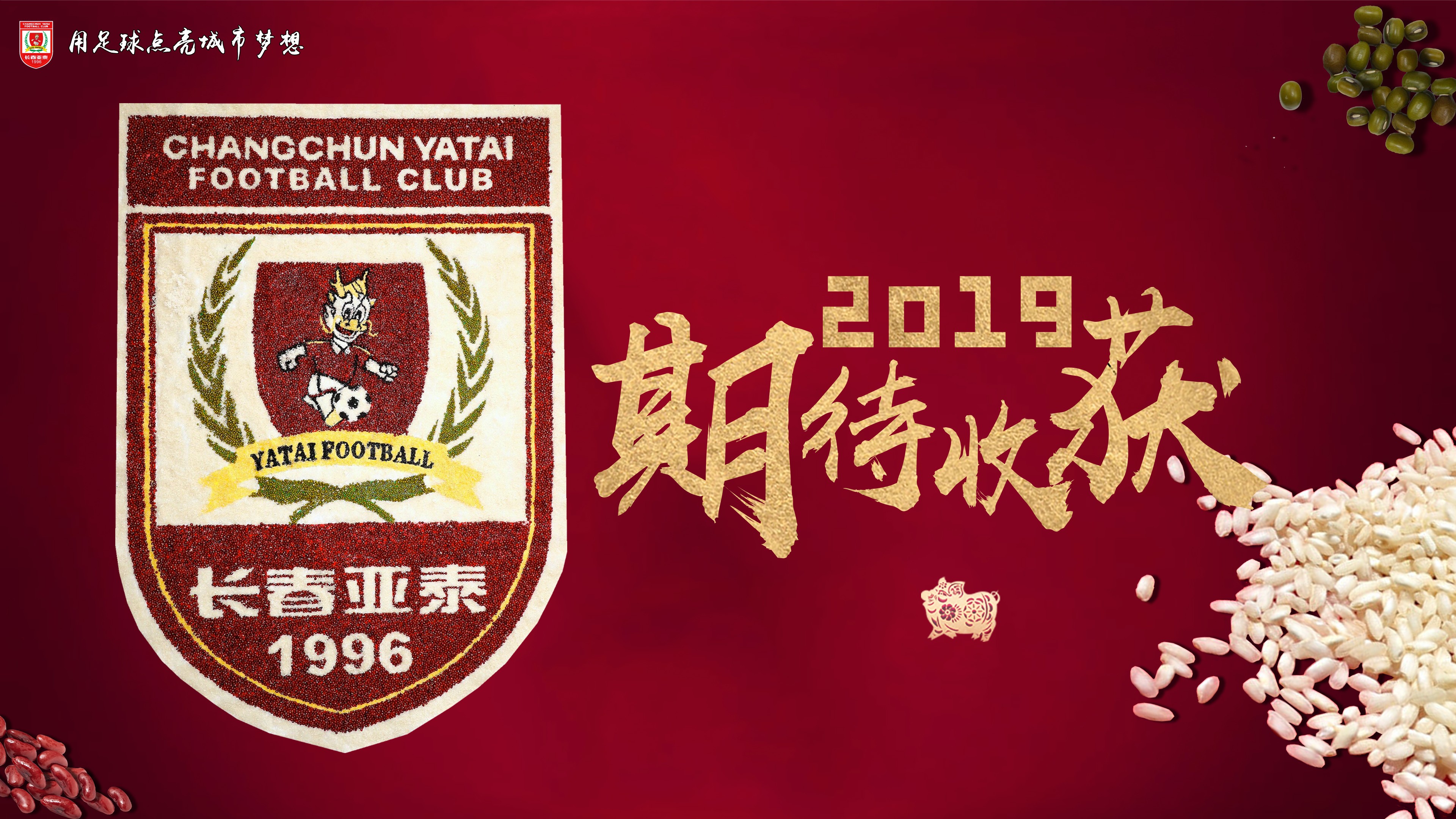 开云体育官方网站-济南泰达备战亚冠，雄心勃勃迎战强敌泰达备战亚冠，雄心壮志迎战豪强的简单介绍