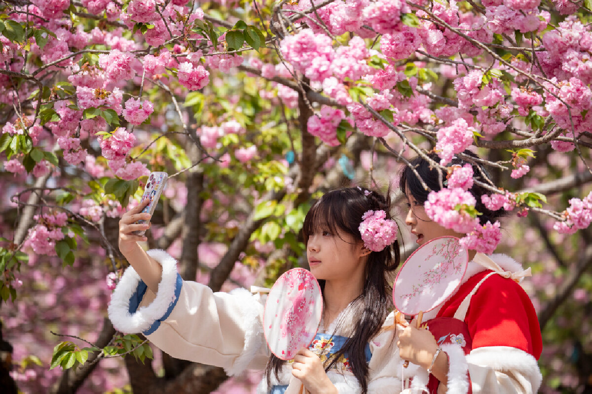 包含樱花遭逆转，憾负比赛遗憾告终的词条