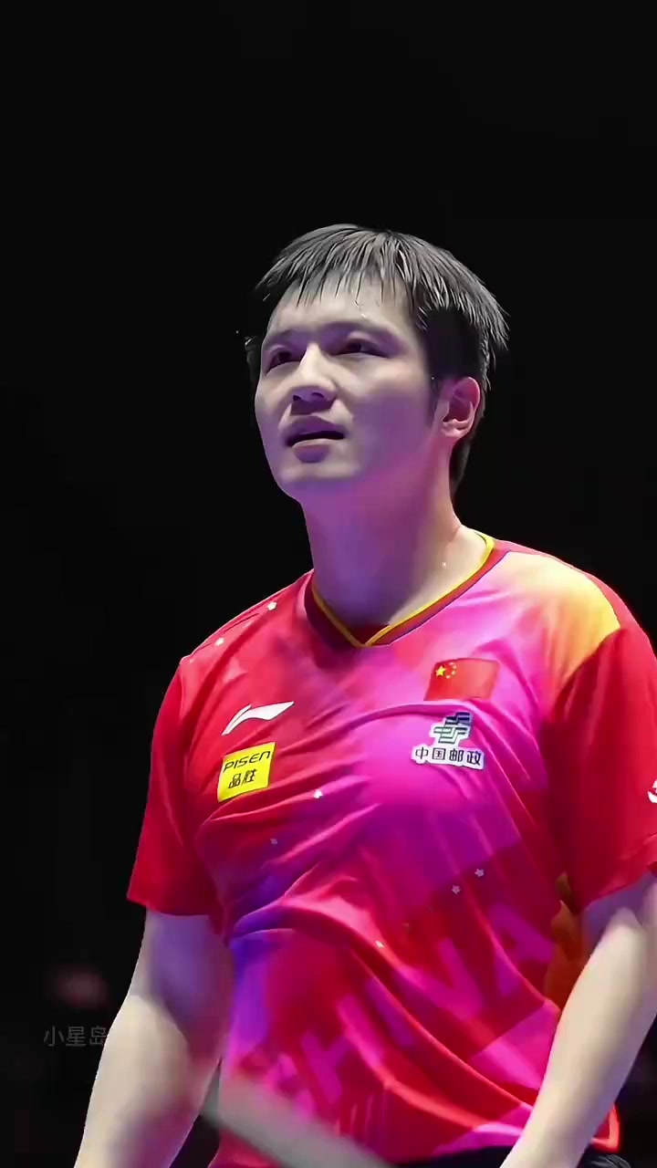 德国乒乓球队血洗中国乒乓球队，樊振东惊艳世界的简单介绍