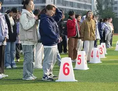 开云APP-冷静与激情交织！S赛完美收官